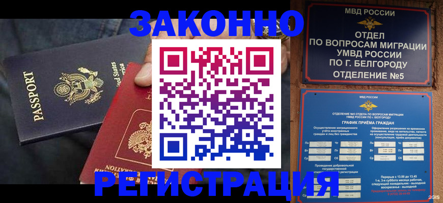 прописка законно в Жердевке